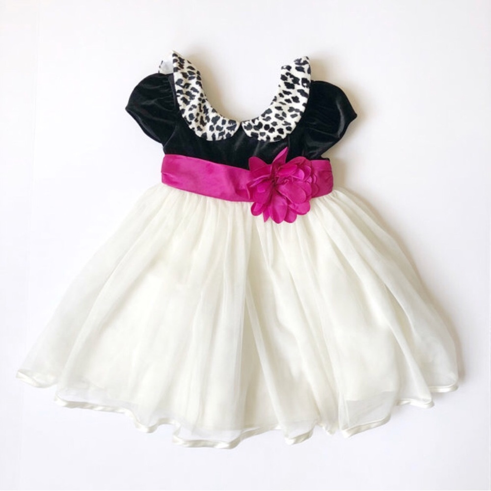 Fancy Dress SZ 18mo